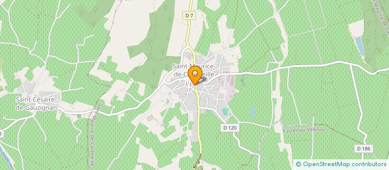 localisation de l'entreprise LOUP IMMO  SAINT-MAURICE-DE-CAZEVIEILLE