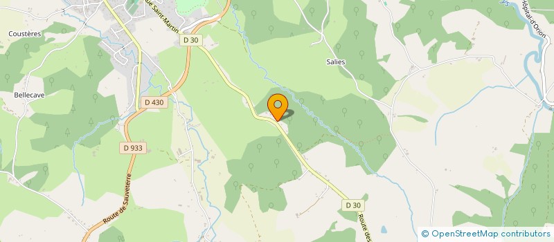 localisation de l'entreprise LOUS AMICS DE LA PADERE  SALIES-DE-BEARN