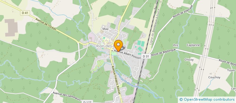 localisation de l'entreprise LOUS ARIOUS à RION-DES-LANDES
