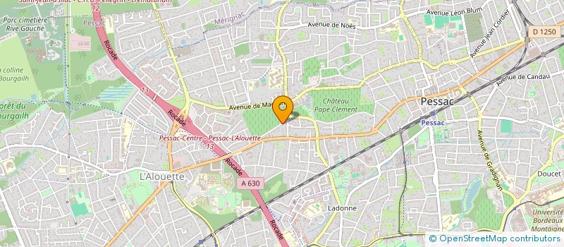 localisation de l'entreprise LOUTRIE  PESSAC