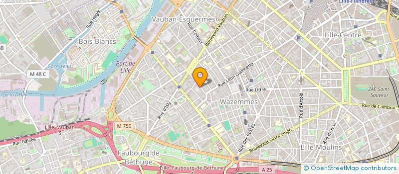 localisation de l'entreprise LOUVERDOU à LILLE