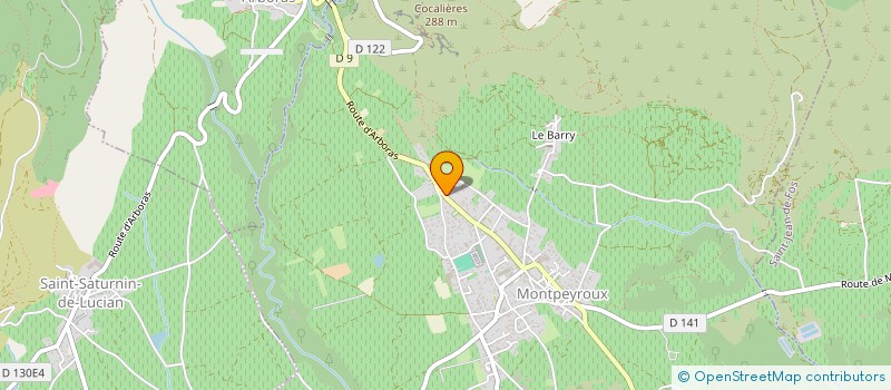 localisation de l'entreprise LOUVINEDIVO à MONTPEYROUX