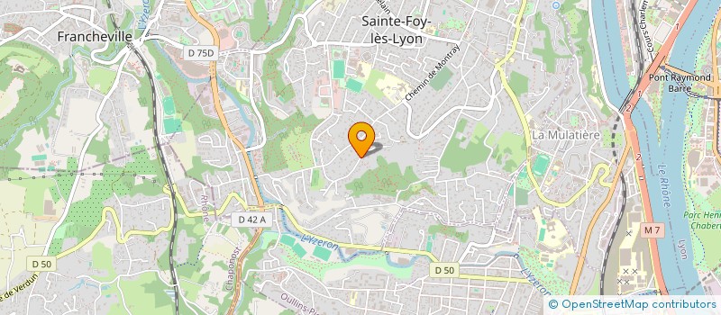 localisation de l'entreprise LP CONSEILS à SAINTE-FOY-LES-LYON