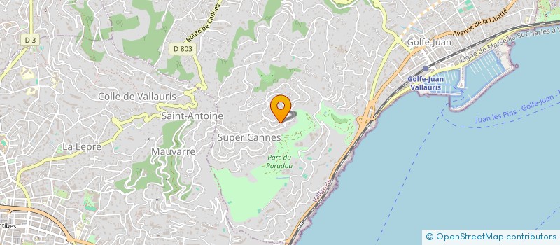 localisation de l'entreprise LR21 à VALLAURIS