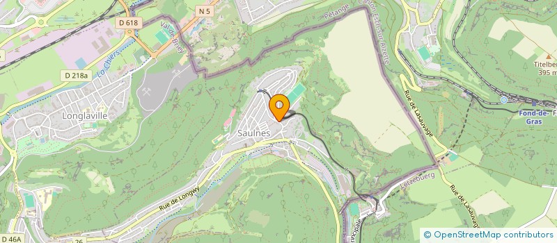 localisation de l'entreprise LRSHOP  SAULNES