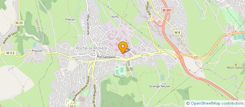 localisation de l'entreprise LS MECA à ROCHE-LA-MOLIERE