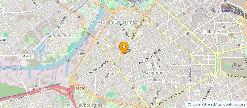 localisation de l'entreprise LSA  LILLE