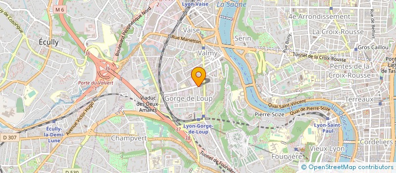 localisation de l'entreprise LSA GROUPEMENT D EMPLOYEURS à LYON