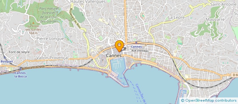 localisation de l'entreprise LSI INTERNATIONAL à CANNES