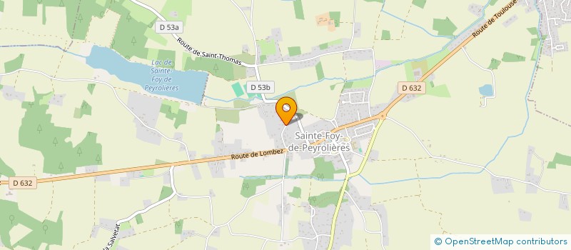 localisation de l'entreprise LSM  SAINTE-FOY-DE-PEYROLIERES