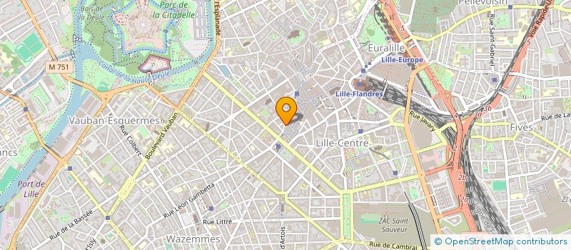 localisation de l'entreprise LSMD à LILLE