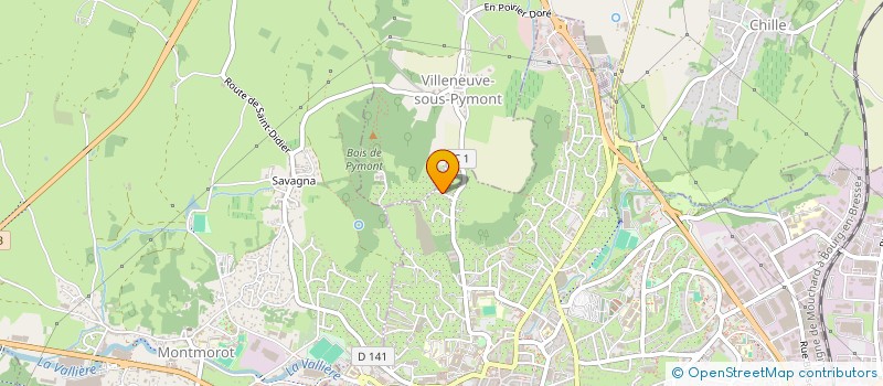 localisation de l'entreprise LSP  LONS-LE-SAUNIER