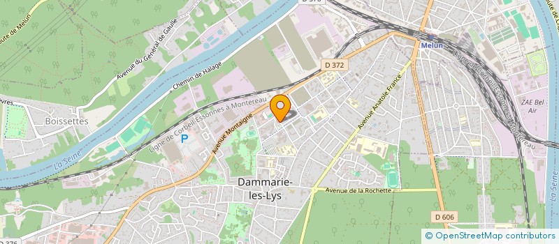 localisation de l'entreprise LSR MUZIK à DAMMARIE-LES-LYS
