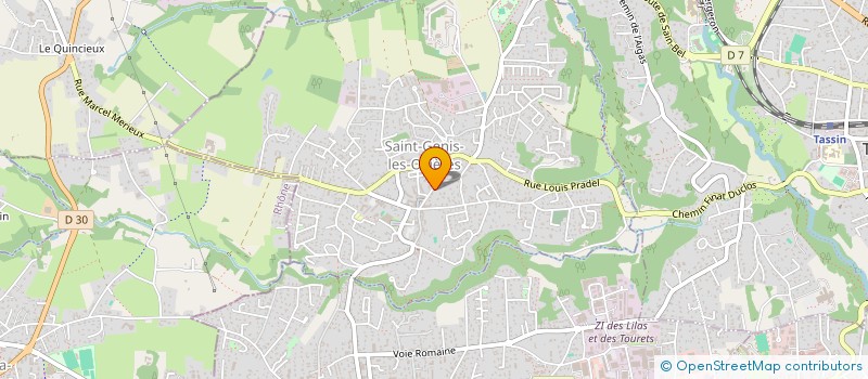 localisation de l'entreprise LSS ARTISAN  SAINT-GENIS-LES-OLLIERES