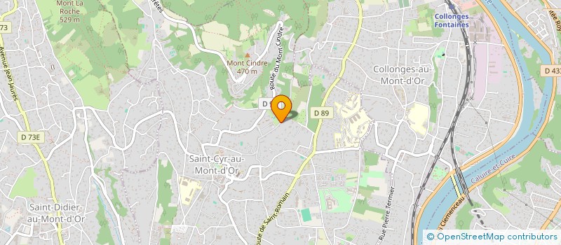 localisation de l'entreprise LSVS  SAINT-CYR-AU-MONT-D'OR