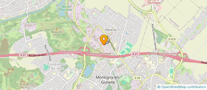 localisation de l'entreprise LT DECAPAGE  MONTIGNY EN GOHELLE