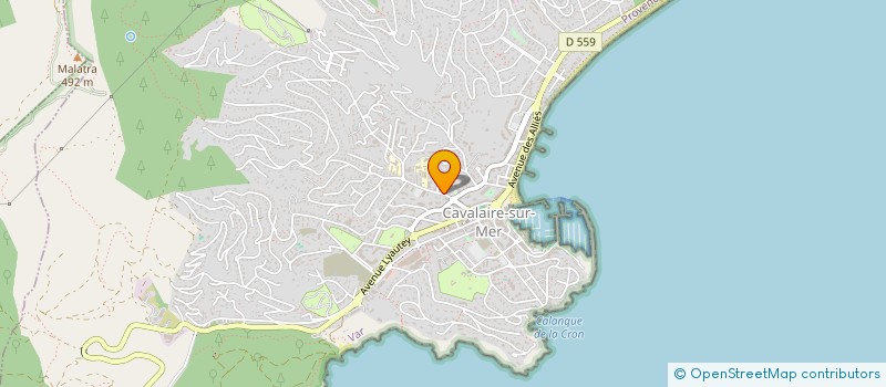 localisation de l'entreprise LTXCVIII à CAVALAIRE-SUR-MER