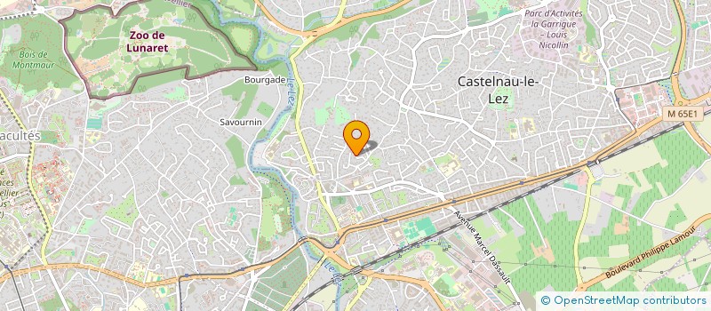 localisation de l'entreprise LUANIS  CASTELNAU-LE-LEZ