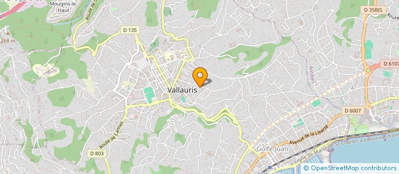 localisation de l'entreprise LUBA à VALLAURIS