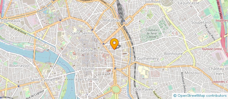 localisation de l'entreprise LUDICORP INTERNATIONAL  TOULOUSE