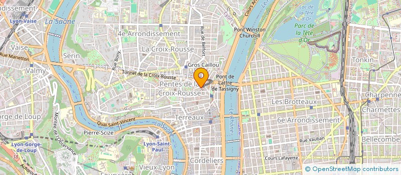 localisation de l'entreprise LUDISERIOUS à LYON