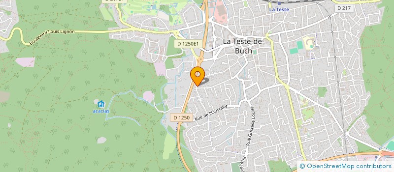 localisation de l'entreprise LUDRIC  LA TESTE-DE-BUCH