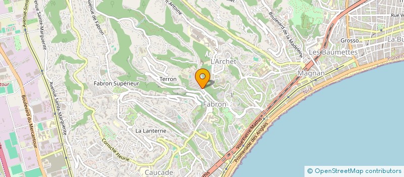 localisation de l'entreprise LUENGONI à NICE