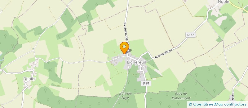 localisation de l'entreprise LUEUR D'ESPOIR POUR AYDEN ET LES LEUCODYSTROPHIES à LIGNEREUIL
