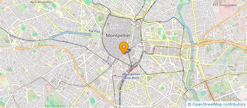 localisation de l'entreprise LUIGI'S à MONTPELLIER