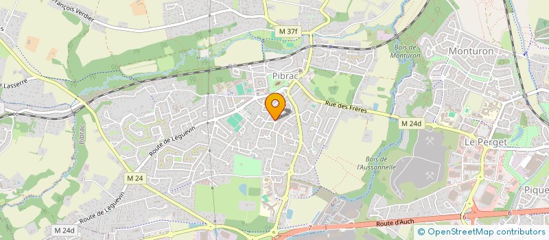 localisation de l'entreprise LULOELO  PIBRAC