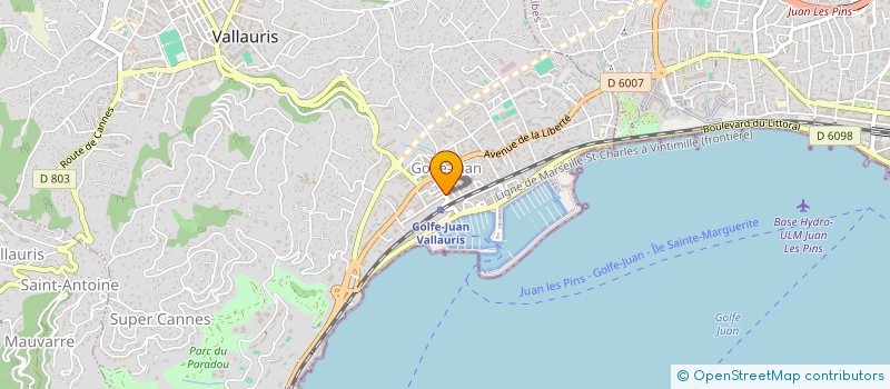 localisation de l'entreprise LUMIC  VALLAURIS