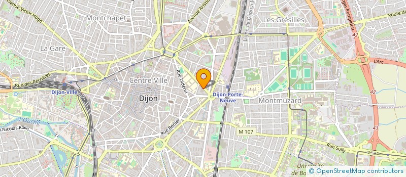 localisation de l'entreprise LUMIERES D'ORIENT 21  DIJON