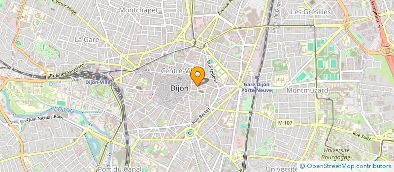 localisation de l'entreprise LUNA MAYI  DIJON