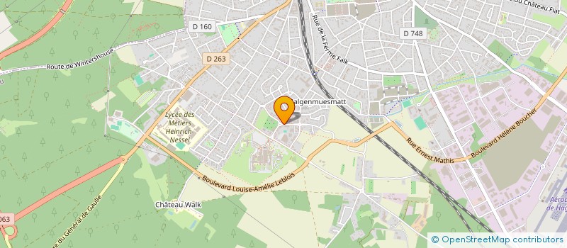 localisation de l'entreprise LUNATUM  HAGUENAU