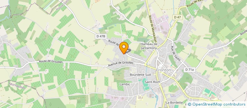 localisation de l'entreprise LUSITANO MACONNERIE  FRONTON