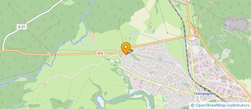 localisation de l'entreprise LVLS IMMO  CHAMPAGNOLE