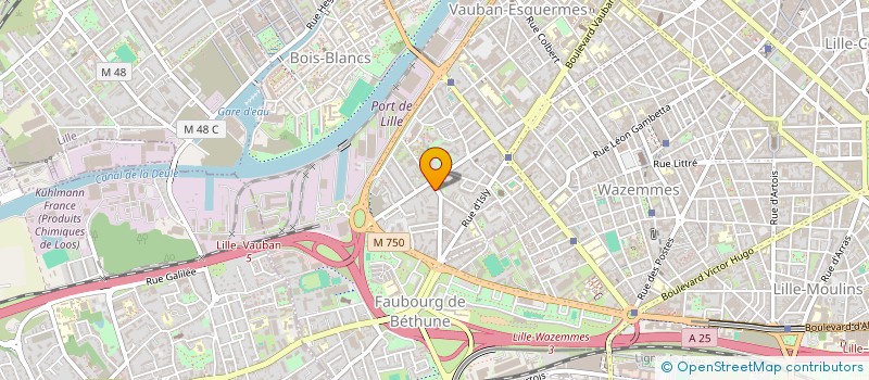 localisation de l'entreprise LW CONSEIL à LILLE