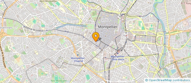 localisation de l'entreprise LY GREY MATTER à MONTPELLIER