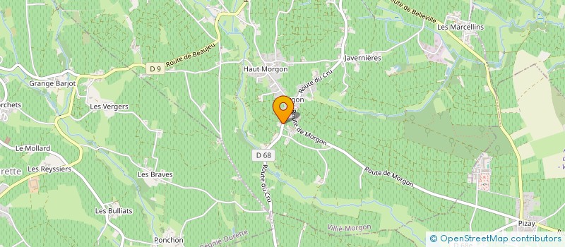 localisation de l'entreprise LYCAP  VILLIE-MORGON