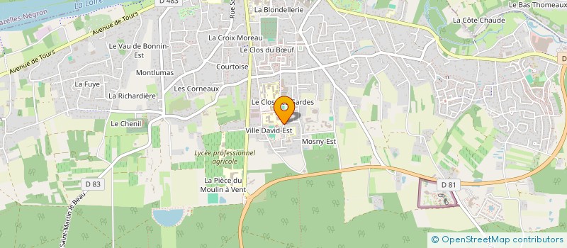 localisation de l'entreprise LYCEE GENERAL TECHNO LEONARD DE VINCI  AMBOISE