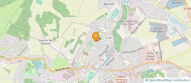 localisation de l'entreprise LYCEE PROFESSIONNEL L'ODYSSEE à PONT-DE-CHERUY