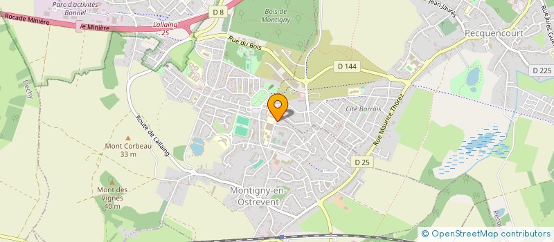 localisation de l'entreprise LYCEE PROFESSIONNEL RENE CASSIN à MONTIGNY-EN-OSTREVENT