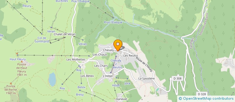 localisation de l'entreprise LYON-CAEN PDL  TANINGES