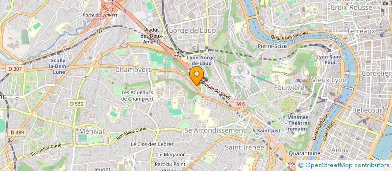localisation de l'entreprise LYON DIS à LYON