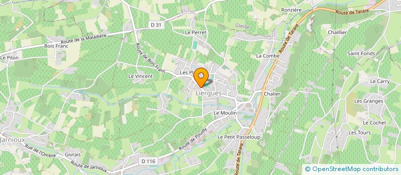 localisation de l'entreprise LYON MISE EN SERVICE à PORTE-DES-PIERRES-DOREES