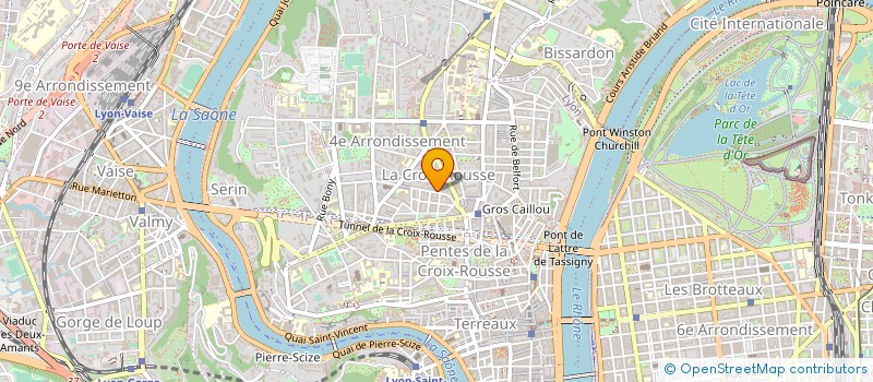 localisation de l'entreprise LYON'S TOUCH  LYON