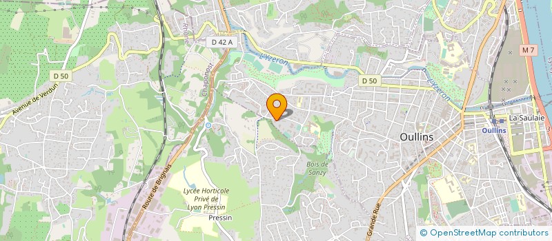 localisation de l'entreprise LYON SERVICE FLEX  OULLINS-PIERRE-BENITE