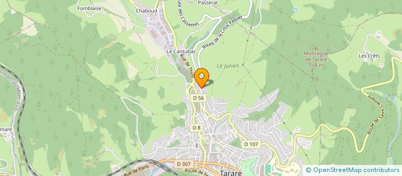 localisation de l'entreprise LYON TRANSPORTS & PATRIMOINE  TARARE