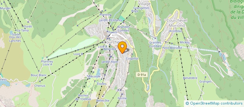 localisation de l'entreprise LYS MARTAGON SERVICES à COURCHEVEL