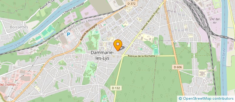 localisation de l'entreprise LYS SERVICE JEUNES à DAMMARIE-LES-LYS